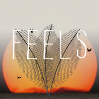 Feels - Full Cover cover